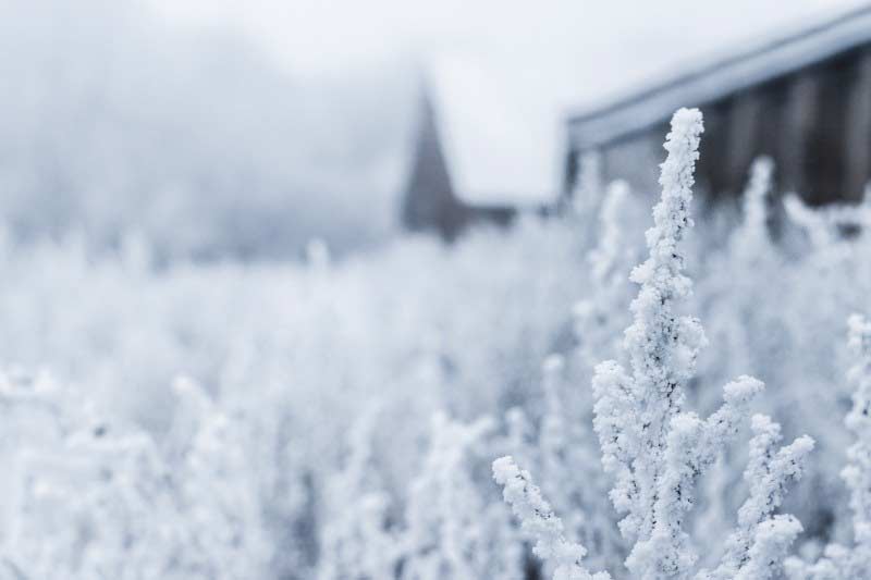 snow