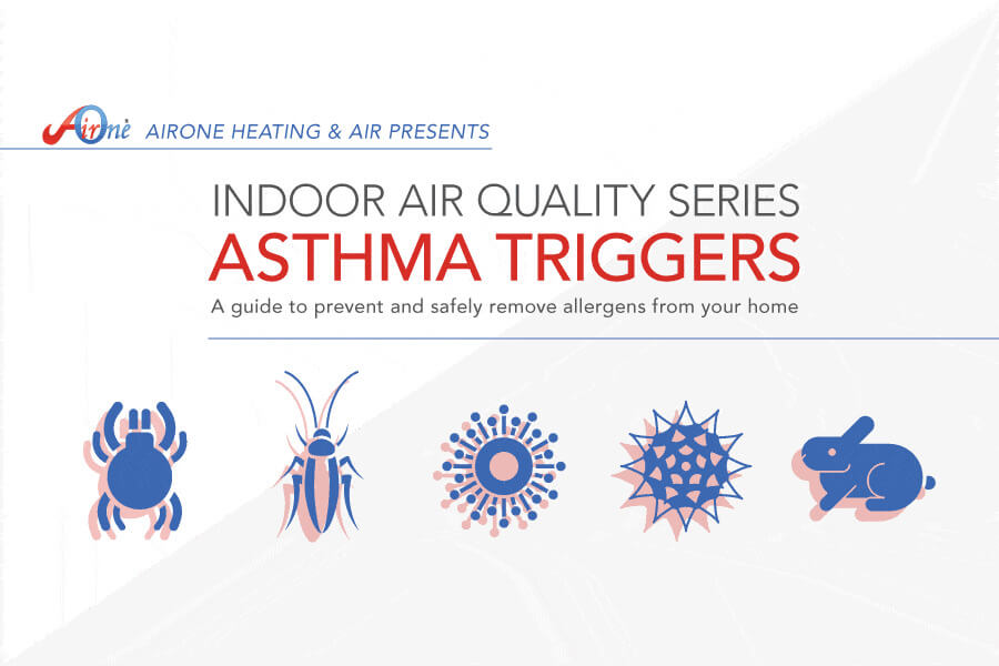 a guide to prevent and safely remove allergens in your home