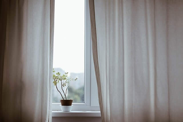 a plant on a windowsill San Marcos TX