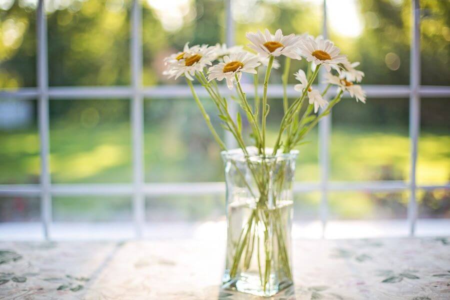 flowers in a vase